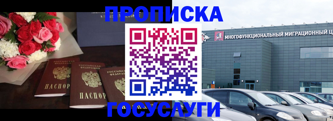 прописка законно в Химках